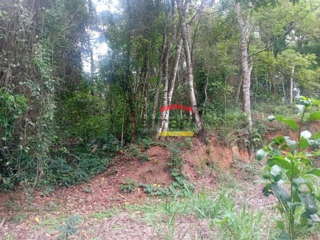 Terreno / Lote para Venda em Caieiras/SP Santa Inês