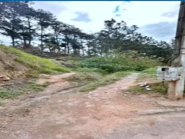 Terreno / Lote para Venda em Caieiras/SP Vila Rosina