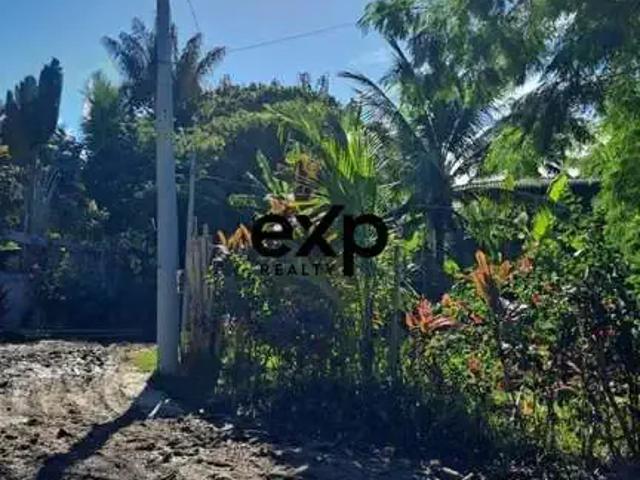 Terreno / Lote para Venda em Cairu/BA Morro de São Paulo