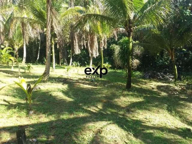 Terreno / Lote para Venda em Cairu/BA Morro de São Paulo
