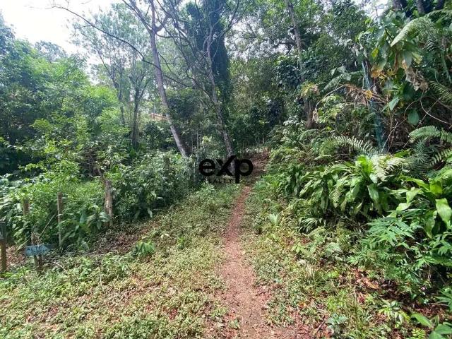 Terreno / Lote para Venda em Cairu/BA Morro de São Paulo