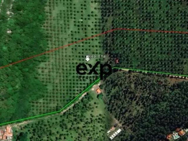Terreno / Lote para Venda em Cairu/BA Morro de São Paulo