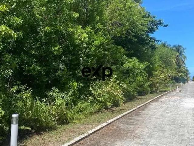 Terreno / Lote para Venda em Cairu/BA Morro de São Paulo