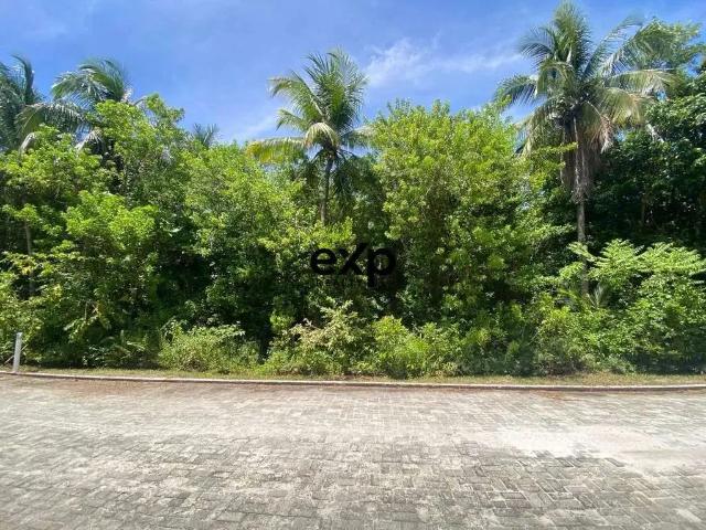 Terreno / Lote para Venda em Cairu/BA Morro de São Paulo