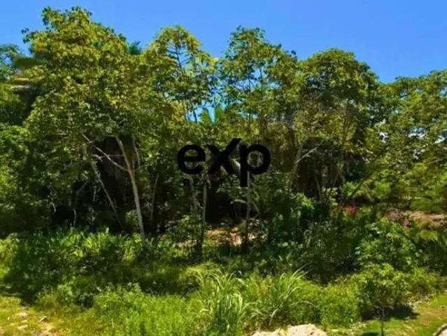 Terreno / Lote para Venda em Cairu/BA Gamboa