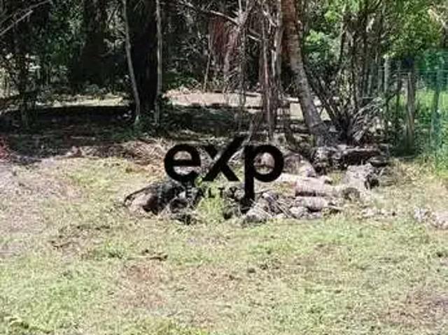 Terreno / Lote para Venda em Cairu/BA Garapua