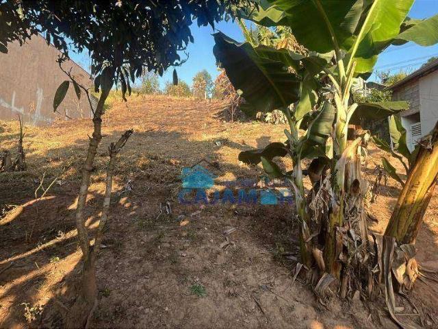 Terreno / Lote para Venda em Cajamar/SP Guaturinho