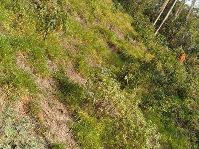 Terreno / Lote para Venda em Cajamar/SP Vau Novo