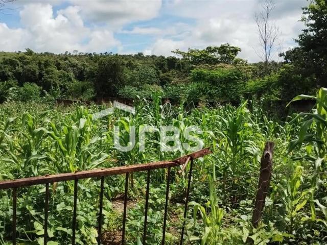 Terreno / Lote para Venda em Caldas Novas/GO Caminho do Lago