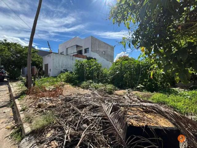 Terreno / Lote para Venda em Caldas Novas/GO Estância Itanhangá