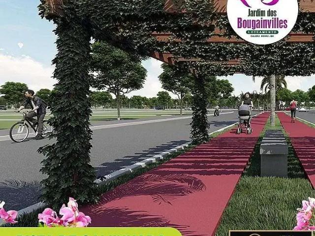 Terreno / Lote para Venda em Caldas Novas/GO Jardim Serrano