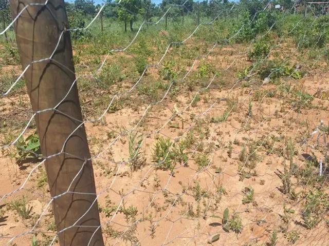Terreno / Lote para Venda em Caldas Novas/GO Lagoa Quente