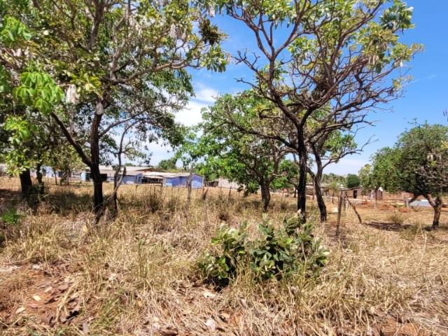 Terreno / Lote para Venda em Caldas Novas/GO Lagoa Quente