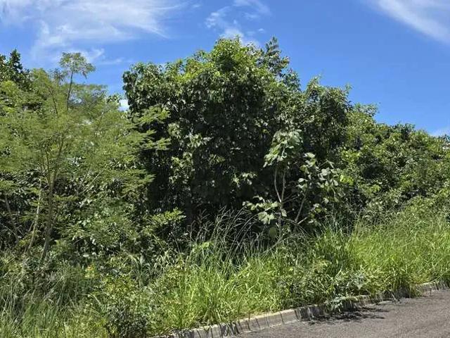 Terreno / Lote para Venda em Caldas Novas/GO Lagoa Quente