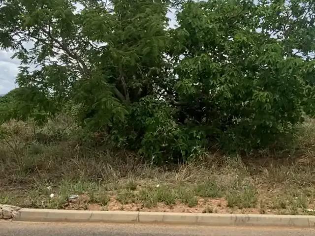 Terreno / Lote para Venda em Caldas Novas/GO Lagoa Quente