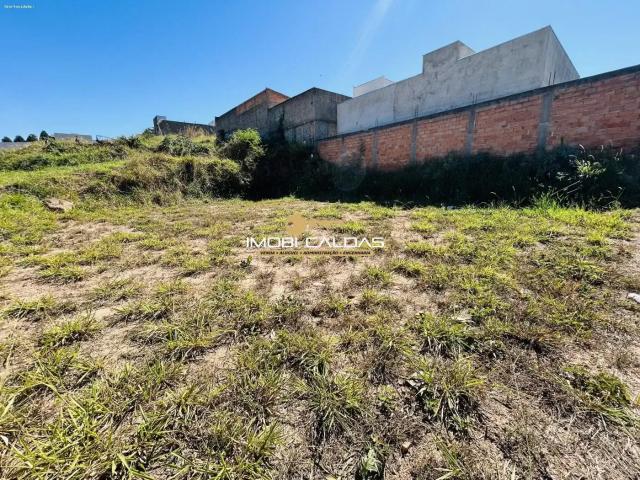 Terreno / Lote para Venda em Caldas Novas/GO Residencial Morada Nobre