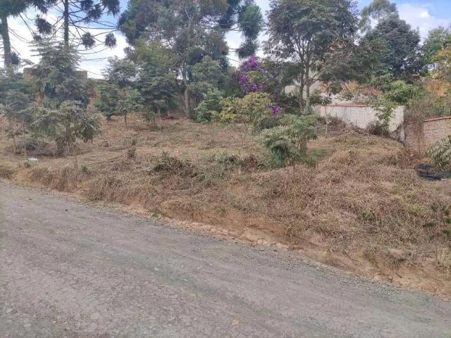 Terreno / Lote para Venda em Caldas/MG Santo Antônio