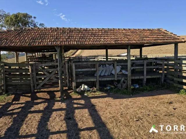 Terreno / Lote para Venda em Capão Bonito/SP Centro