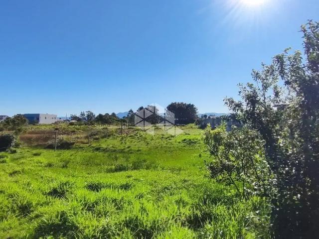 Terreno / Lote para Venda em Capão da Canoa/RS Arroio Teixeira