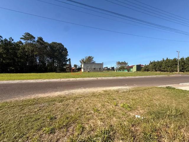 Terreno / Lote para Venda em Capão da Canoa/RS Capão Novo