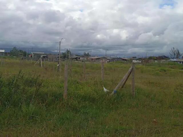 Terreno / Lote para Venda em Capão da Canoa/RS Capão Novo