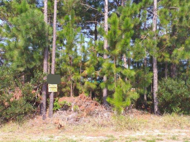 Terreno / Lote para Venda em Capão da Canoa/RS Capão Novo