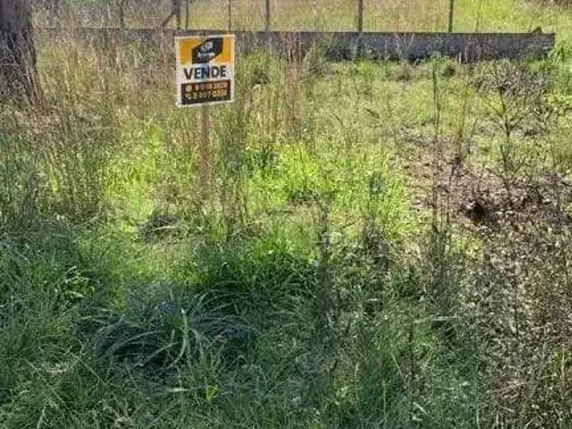 Terreno / Lote para Venda em Capão do Leão/RS Jardim América