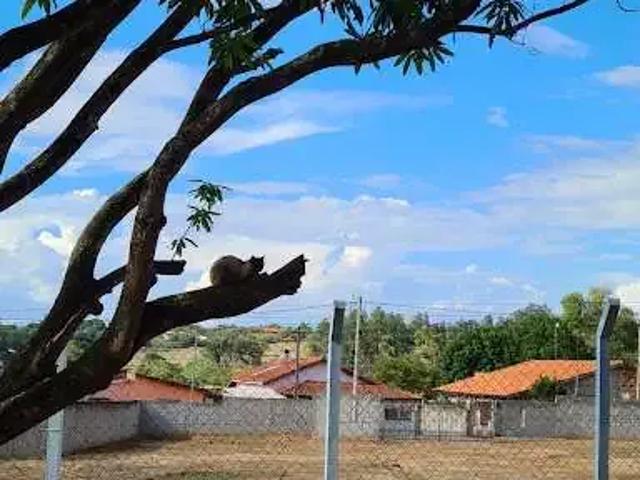 Terreno / Lote para Venda em Capela do Alto/SP Porto