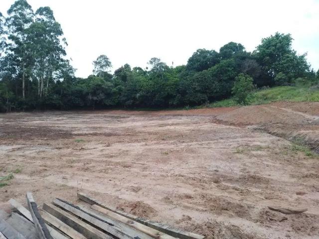 Terreno / Lote para Venda em Capela de Santana/RS Bosque de Capela