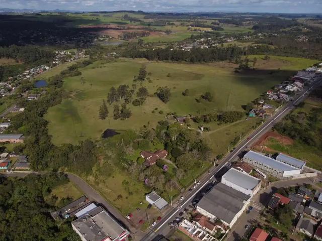 Terreno / Lote para Venda em Capela de Santana/RS Centro