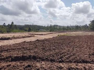 Terreno / Lote para Venda em Capela de Santana/RS Centro
