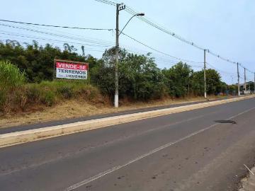 Terreno / Lote para Venda em Capela de Santana/RS Centro