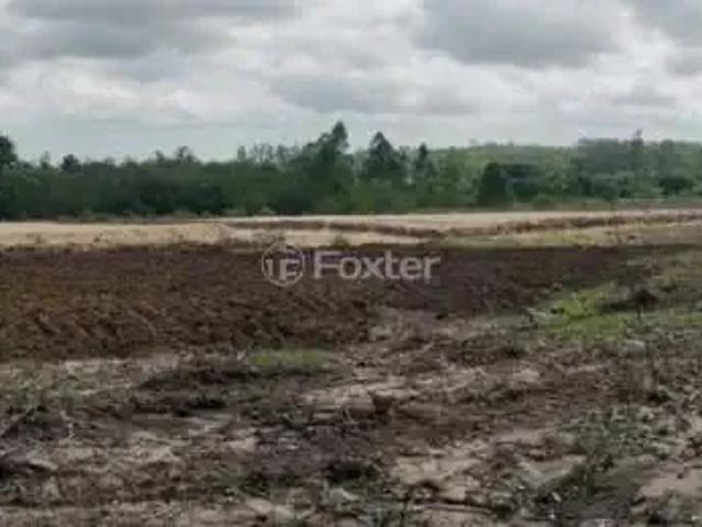 Terreno / Lote para Venda em Capela de Santana/RS Centro