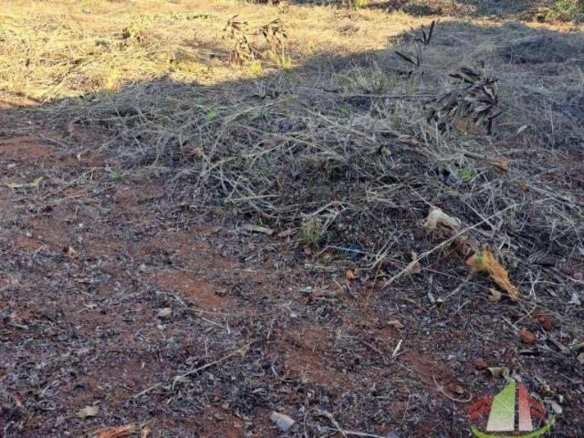 Terreno / Lote para Venda em Capim Branco/MG Jardim das Palmeiras