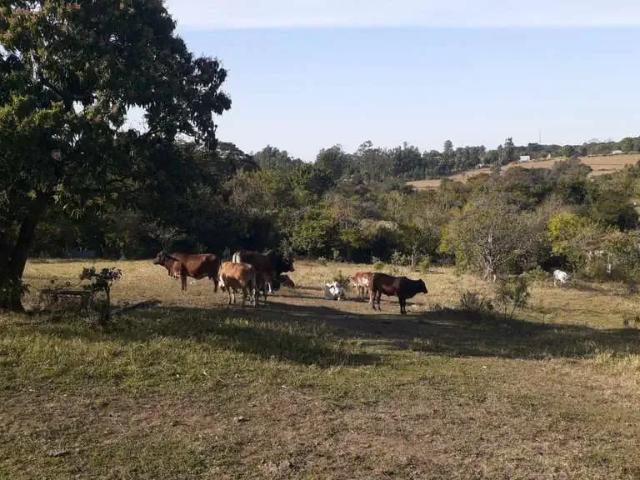 Terreno / Lote para Venda em Capivari/SP Vila Bela Vista