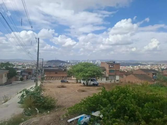 Terreno / Lote para Venda em Caruaru/PE Agamenon Magalhães