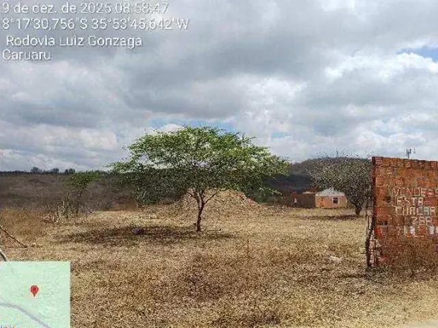 Terreno / Lote para Venda em Caruaru/PE Área Rural de Caruaru