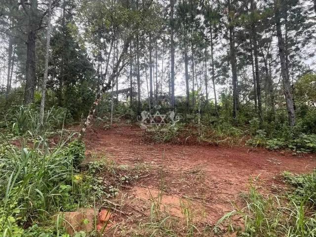 Terreno / Lote para Venda em Caraguatatuba/SP Capricórnio II