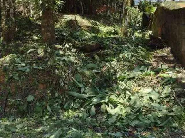 Terreno / Lote para Venda em Caraguatatuba/SP Capricórnio II