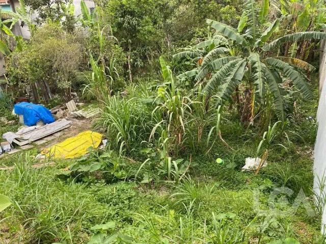 Terreno / Lote para Venda em Caraguatatuba/SP Cidade Jardim