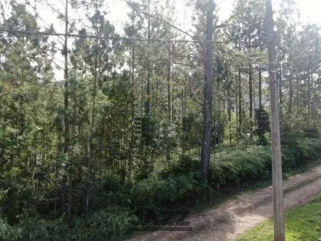 Terreno / Lote para Venda em Caraguatatuba/SP Balneário Copacabana