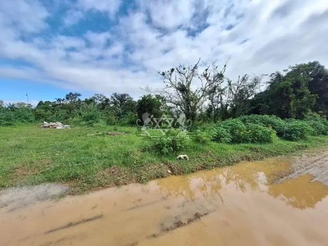Terreno / Lote para Venda em Caraguatatuba/SP Balneário dos Golfinhos