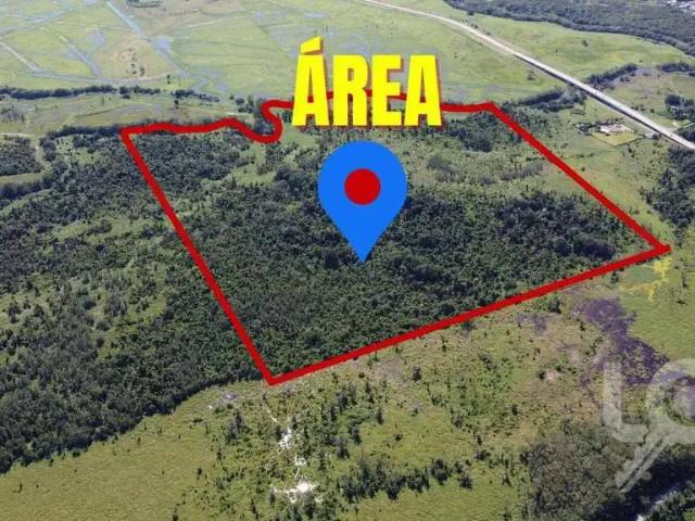 Terreno / Lote para Venda em Caraguatatuba/SP Barranco Alto
