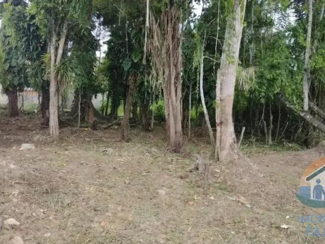 Terreno / Lote para Venda em Caraguatatuba/SP Jardim das Gaivotas