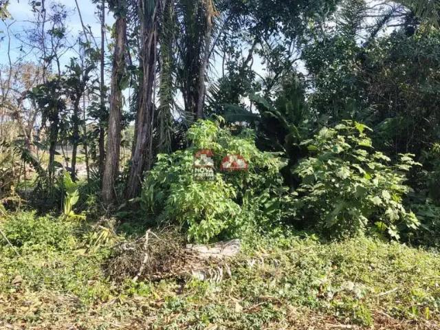 Terreno / Lote para Venda em Caraguatatuba/SP Jardim das Gaivotas