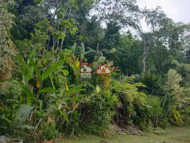 Terreno / Lote para Venda em Caraguatatuba/SP Jardim Progresso