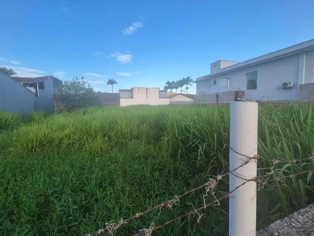 Terreno / Lote para Venda em Caraguatatuba/SP Morro do Algodão