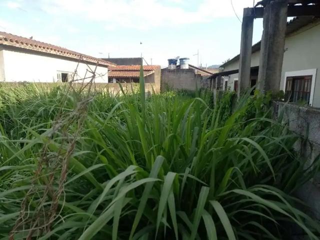 Terreno / Lote para Venda em Caraguatatuba/SP Morro do Algodão