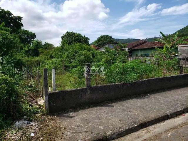 Terreno / Lote para Venda em Caraguatatuba/SP Martim de Sá