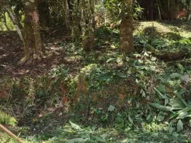 Terreno / Lote para Venda em Caraguatatuba/SP Massaguaçu